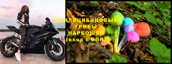 спайс Алзамай