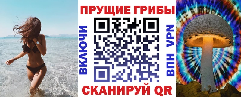 продажа наркотиков Лагань Галлюциногенные грибы Cubensis