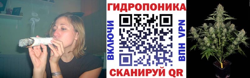 Бошки марихуана MAZAR  Лагань 